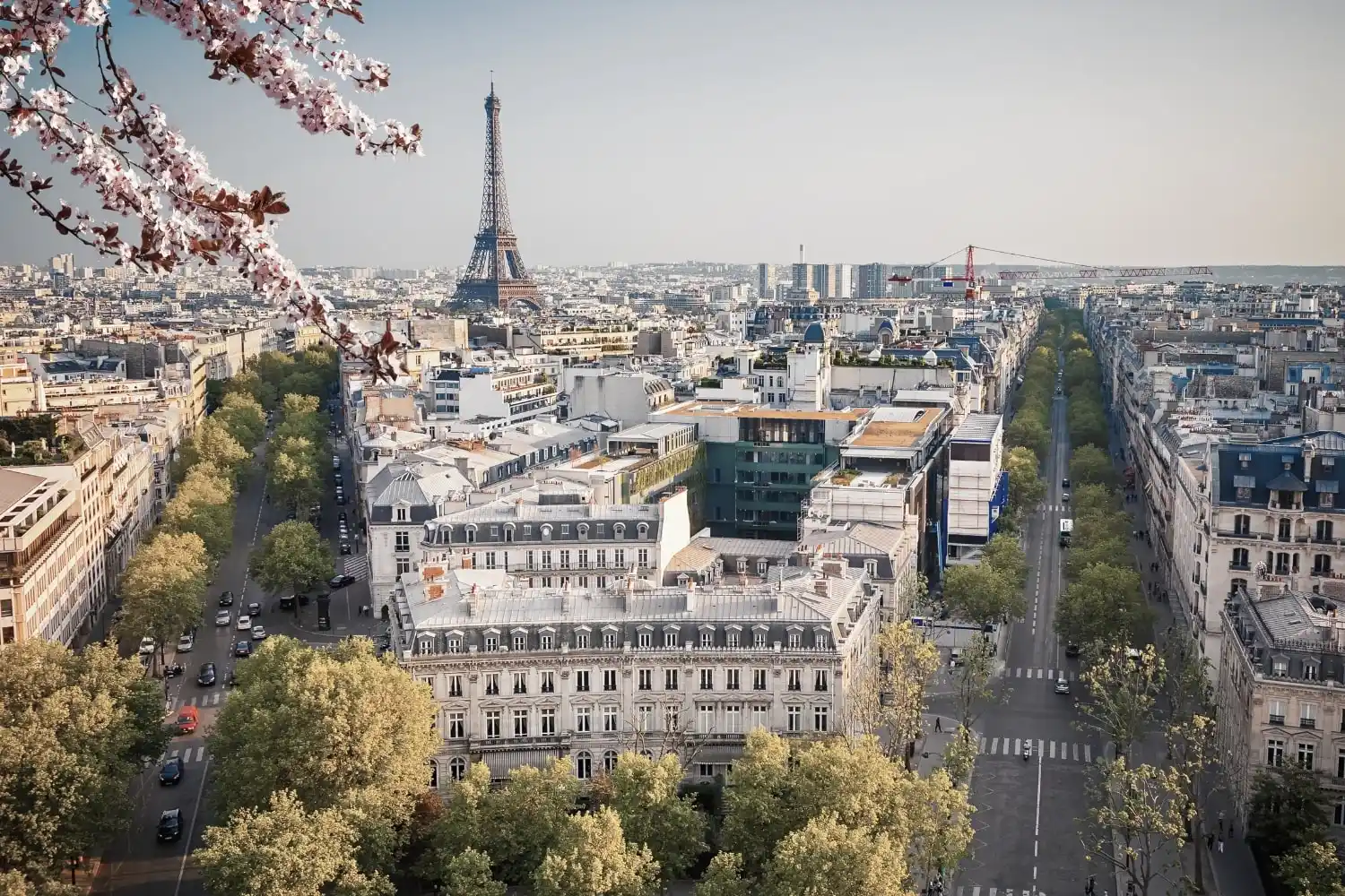 Consultant SEO à Paris