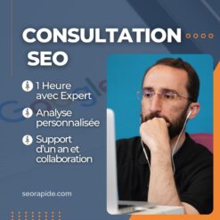 consultation-seo-expert