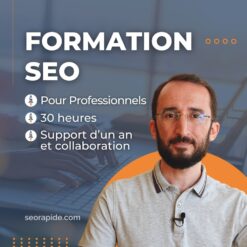 formation-seo-professionnels-en-ligne