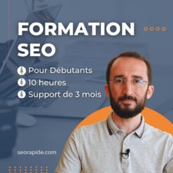 seo-formation-debutants-en-ligne